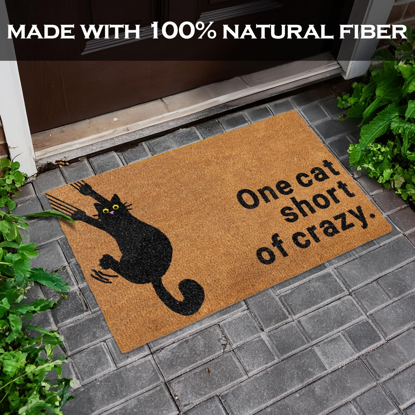 One Cat Short of Crazy Coir Door Mat 30x17 Inch
