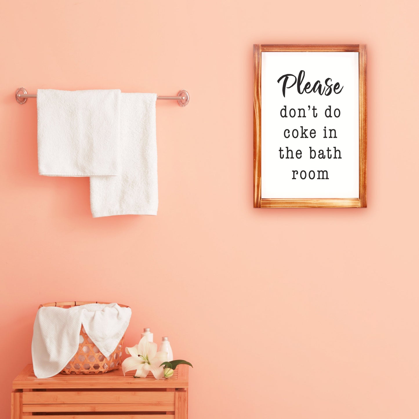 Please Don't Do Coke In The Bathroom Sign 11x16 Inch