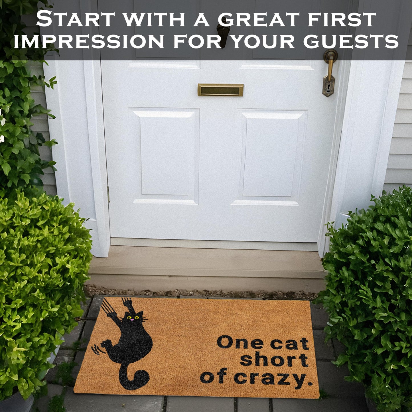 One Cat Short of Crazy Coir Door Mat 30x17 Inch