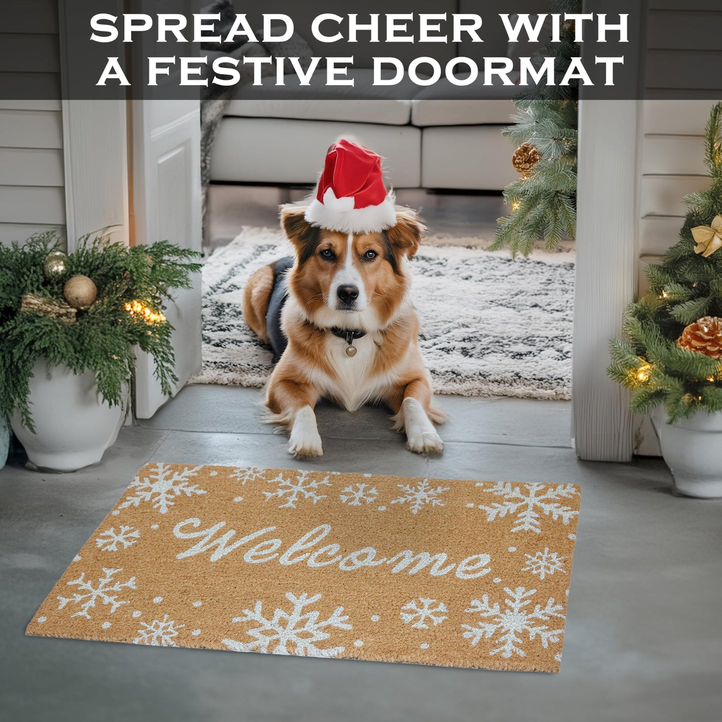 Snowflake Coir Doormat 30x17 Inch