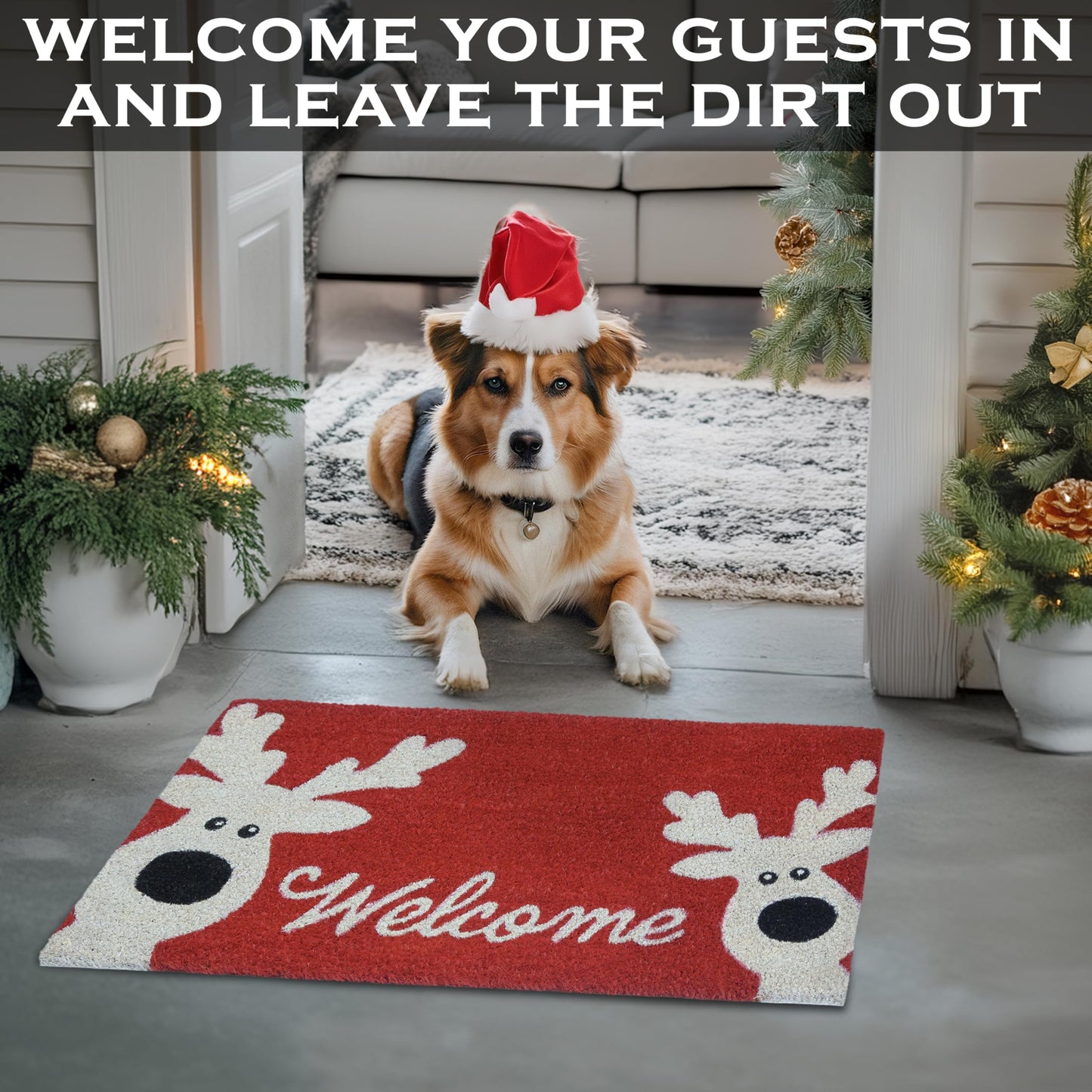 Reindeer Door Mat 30x17 Inch
