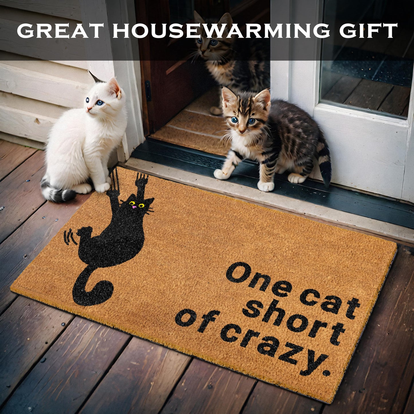 One Cat Short of Crazy Coir Door Mat 30x17 Inch