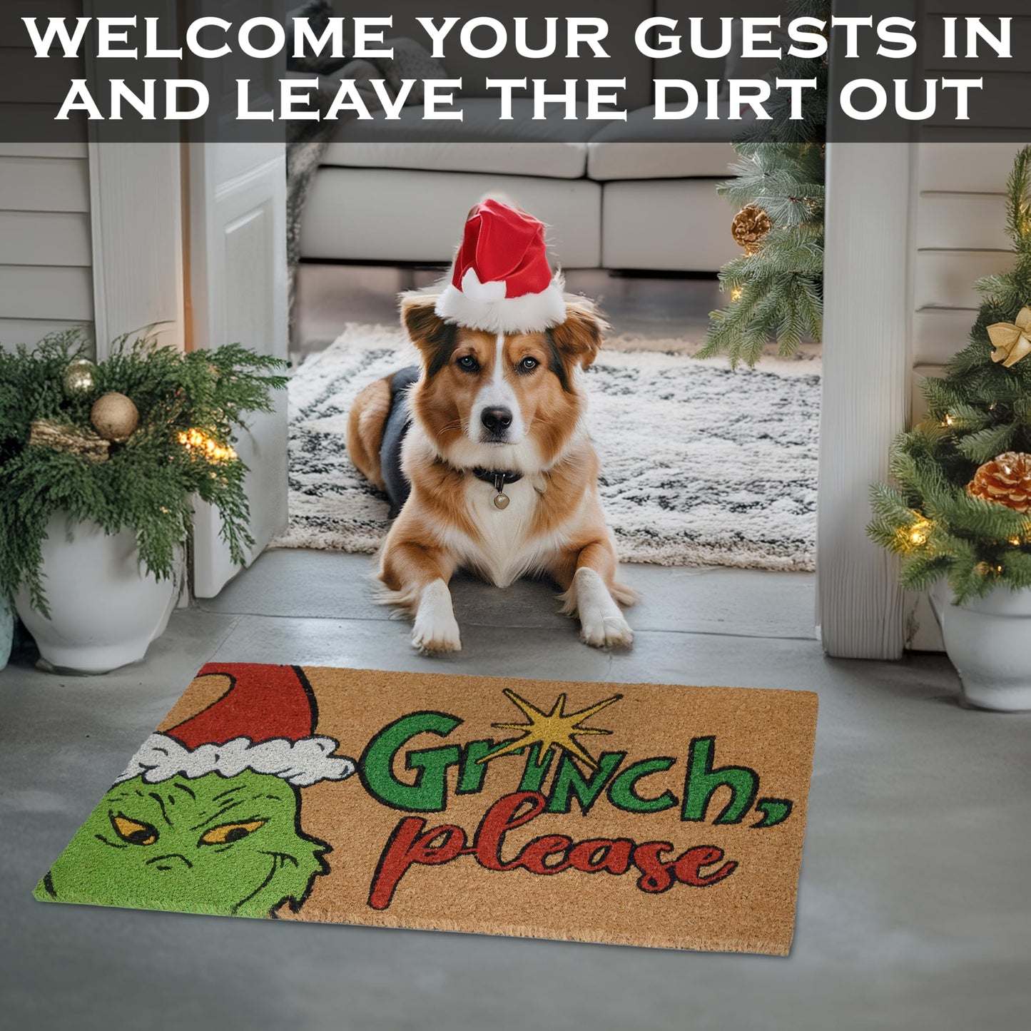 Grinch Please Door Mat Outdoor 30x17 Inch