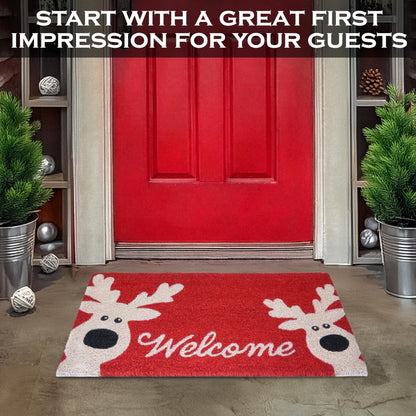 Reindeer Door Mat 30x17 Inch