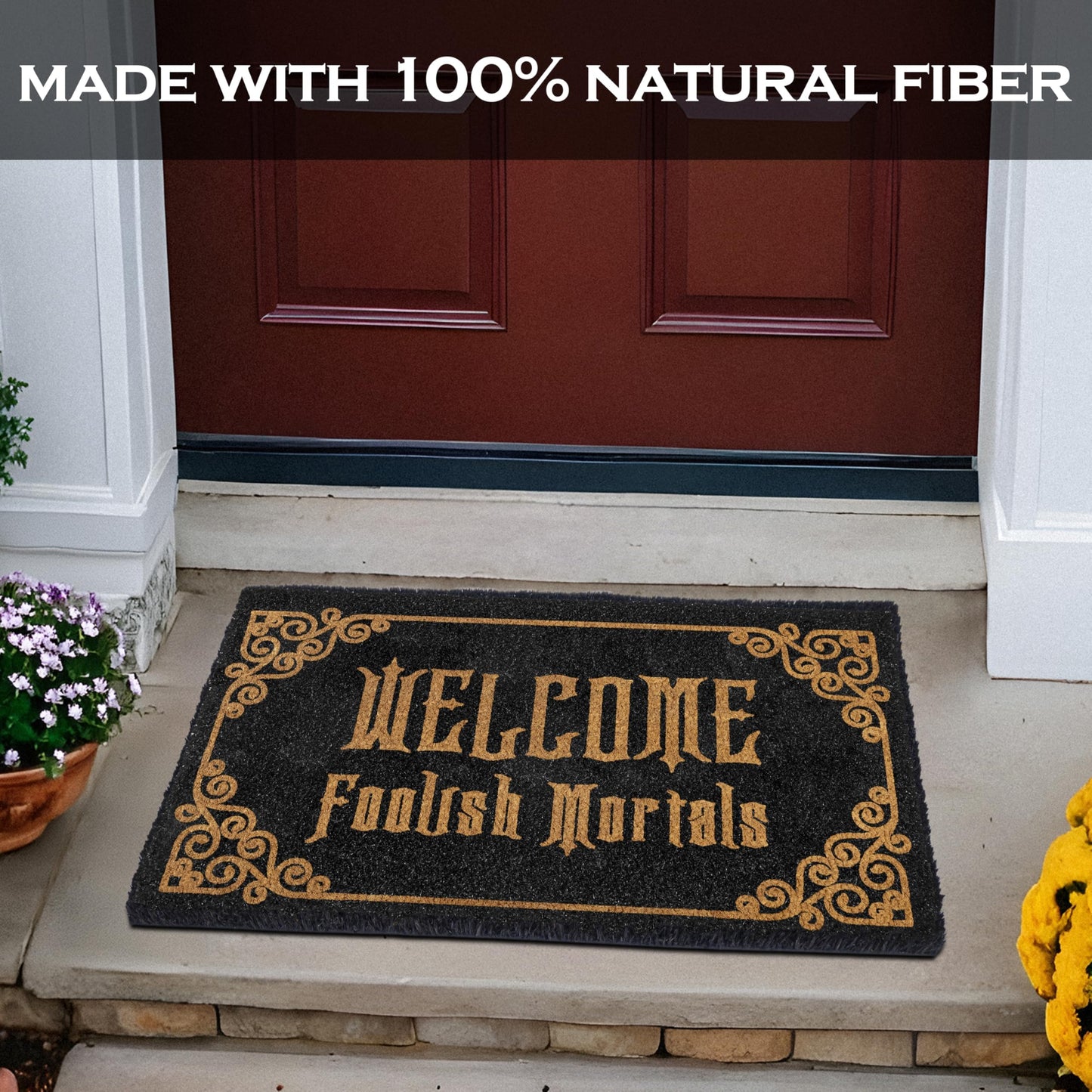 Welcome Foolish Mortals Doormat 30x17 Inch