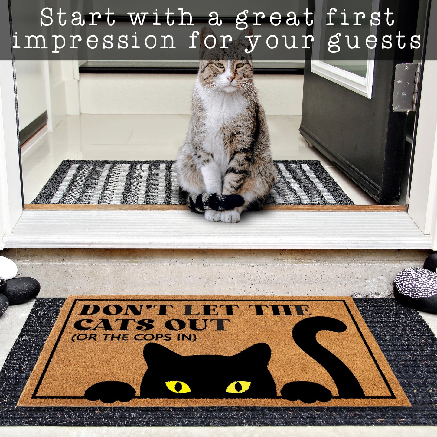 Don't Let The Cats Out Or The Cops In Door Mat Coir Outdoor 30x17 Inch