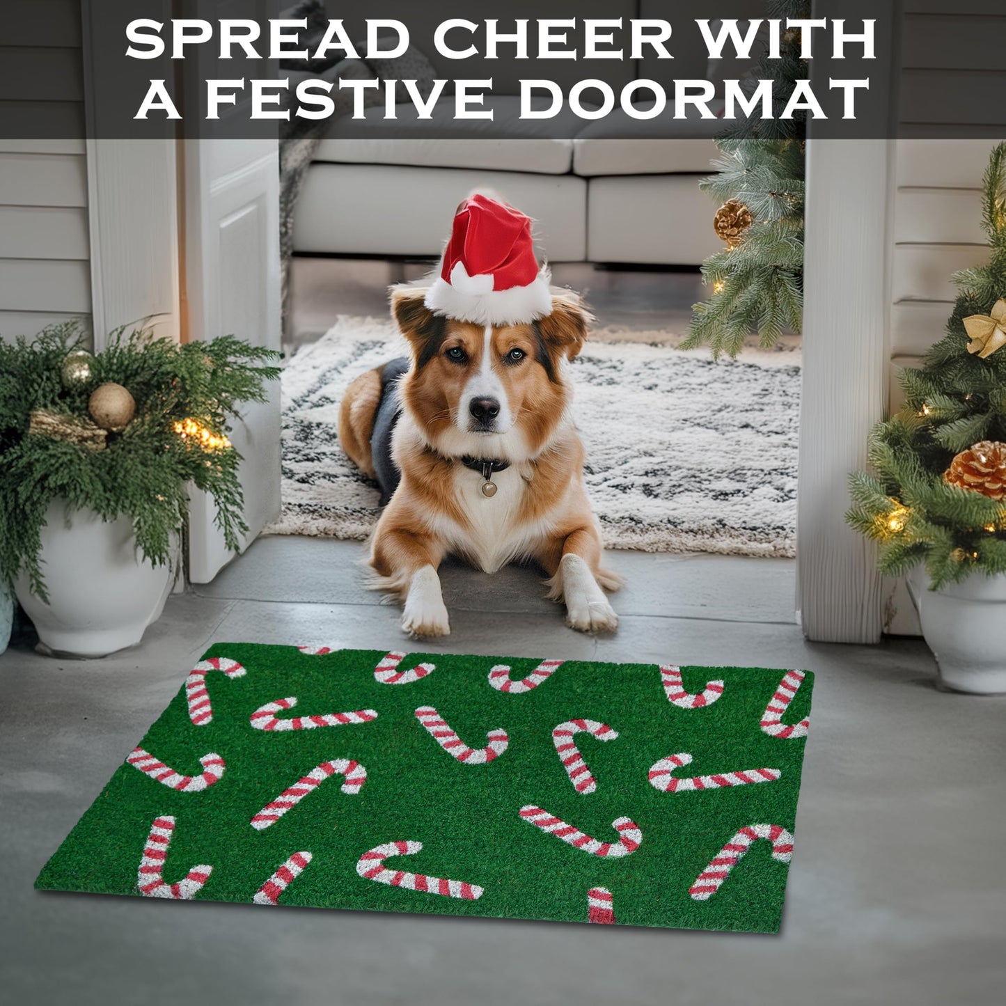 Candy Cane Door Mat 30x17 Inch