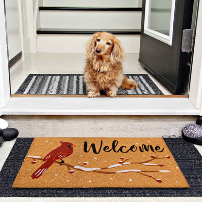 Cardinal Welcome Coir Doormat 30x17 Inch