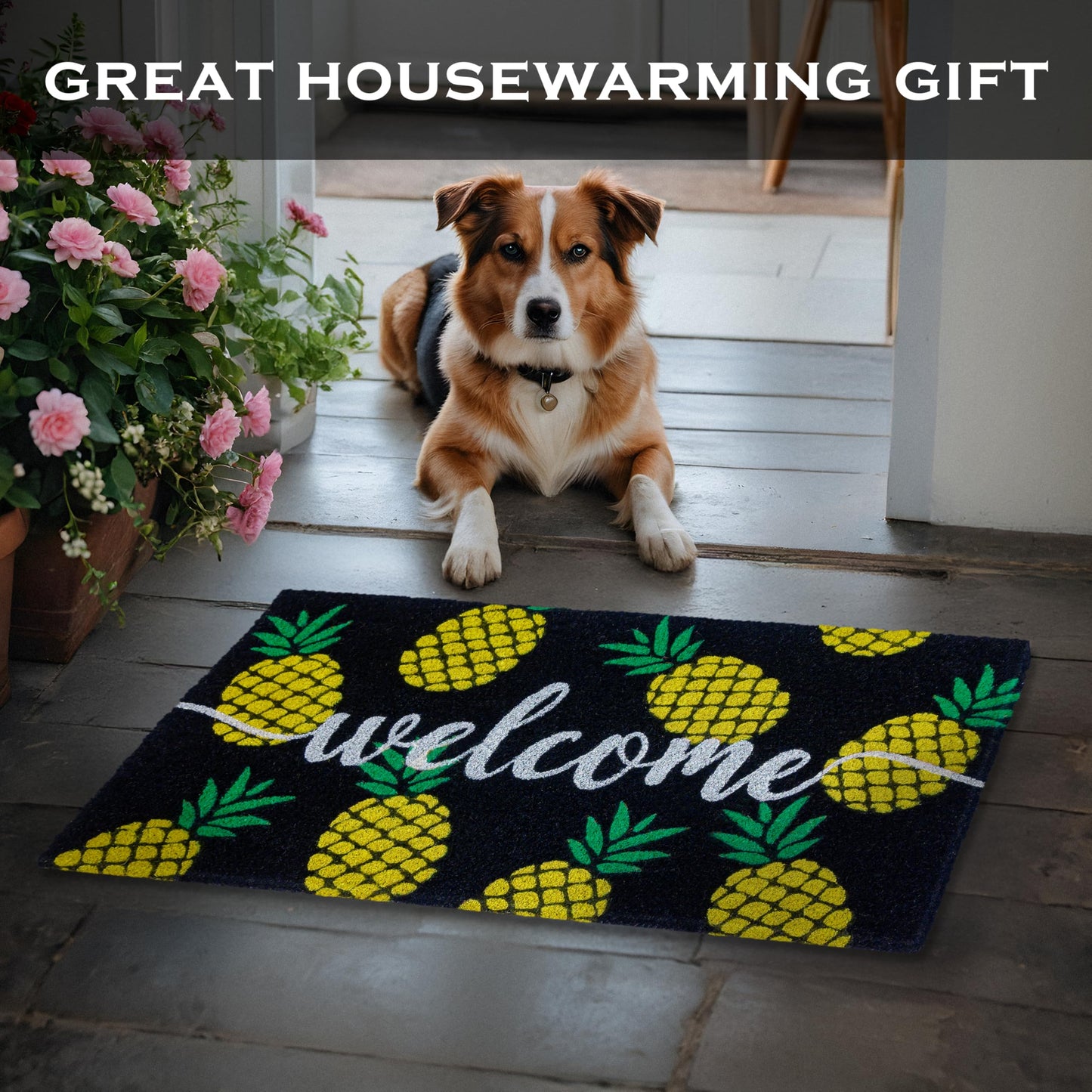 Pineapple Doormat Outdoor 30x17 Inch, Summer Tropical Coir Door Mat Rug
